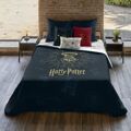 Capa Nórdica Harry Potter Dormiens Draco 220 X 220 cm Casal
