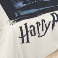 Capa Nórdica Harry Potter 155 X 220 cm Solteiro