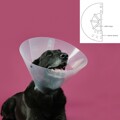 Colar Isabelino para Cães Kvp Betsy Transparente (33-41 cm)