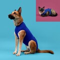 T-shirt de Recuperação de Animais Kvp Azul (25-29 cm)