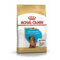 Penso Royal Canin Breed Dachshund Jun Cachorro/júnior Arroz Vegetal 1,5 kg