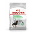 Penso Royal Canin Mini Digestive Adulto Pássaros 1 kg
