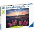 Puzzle Ravensburger 17492 Lupines 500 Peças