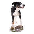 Brinquedo de Peluche para Cães Hunter Wildlife Train com Corda Pato (26 cm)