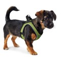 Arnês para Cães Hunter Hilo-comfort Lima Tamanho Xxs (26-30 cm)