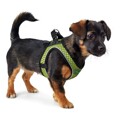Arnês para Cães Hunter Hilo-comfort Lima (30-35 cm)
