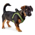 Arnês para Cães Hunter Hilo-comfort Lima Tamanho M/l (58-63 cm)