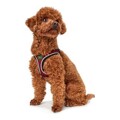 Arnês para Cães Hunter Hilo-comfort Vermelho Tamanho M/l (58-63 cm)
