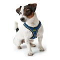Arnês para Cães Hunter Hilo-comfort Azul (30-35 cm)