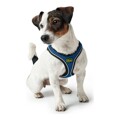 Arnês para Cães Hunter Hilo-comfort Azul Tamanho S (42-48 cm)