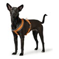 Arnês para Cães Hunter London Comfort 52-62 cm Laranja Tamanho S/m