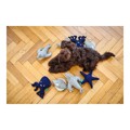 Brinquedo para Cães Hunter Skagen Azul Escuro Estrela do Mar