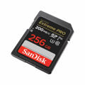 Cartão de Memória Sdhc Western Digital Sdsdxxd 256 GB