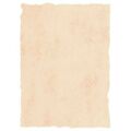 Parchment Paper Michel Bege A4 25 Unidades