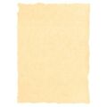 Parchment Paper Michel Creme A4 25 Unidades