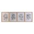 Pintura Dkd Home Decor Abeto Cristal Plantas Botânicas (50 X 65 X 2 cm) (4 Unidades)
