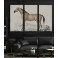Pintura Dkd Home Decor Cavalo (180 X 4 X 120 cm)