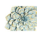 Decoração de Parede Dkd Home Decor Flor Azul Metal Laranja Shabby Chic (61 X 8 X 61 cm) (2 Unidades)