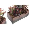 Planta Decorativa Dkd Home Decor 19 X 9 X 22 cm Cor de Rosa Laranja Catos Borracha Eva Polipropileno (2 Unidades)