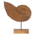 Escultura Concha Bege 49,5 X 9 X 53,5 cm