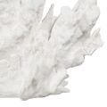 Figura Decorativa Branco Coral 29 X 20 X 21 cm