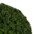 Planta Decorativa Verde Pvc 24 X 24 cm
