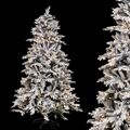árvore de Natal Branco Verde Pvc Metal Polietileno Nevado 210 cm