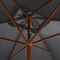 Guarda-sol de Exterior C/ Mastro de Madeira 200x300cm Antracite