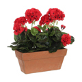 Planta Decorativa Mica Decorations Cerâmica Vermelho Pvc (29 X 13 X 40 cm)