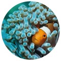 Wallart Papel de Parede Circular "nemo The Anemonefish" 190 cm