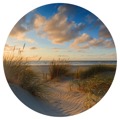 Wallart Papel de Parede Circular "beachlife" 190 cm