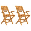 Cadeiras de Jardim Dobráveis 2 pcs 55x61x90 cm Teca Maciça
