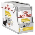 Comida Húmida Royal Canin Dermacomfort Carne 12 X 85 G