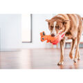 Brinquedo para Cães Red Dingo 23,5 cm Canguru Interior/exterior