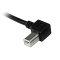 Cabo USB a para USB B Startech USBAB3ML Preto