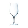 Conjunto de Copos Chef & Sommelier Evidence Vinho 6 Unidades Transparente Vidro 450 Ml