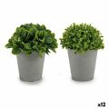 Planta Decorativa Cinzento Verde Plástico (13 X 17 X 13 cm) (12 Unidades)