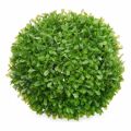 Planta Decorativa Folhas Bol Plástico 22 X 22 X 22 cm (8 Unidades)