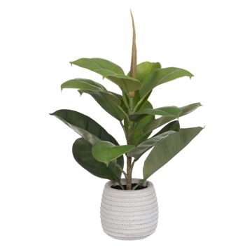 Planta Decorativa Verde Pvc Eik 58 cm