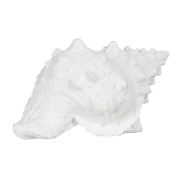 Figura Decorativa Branco Concha 21 X 14 X 12 cm
