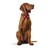 Coleira para Cães Hunter Swiss Vermelho/preto (41-49 cm)