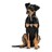 Coleira para Cães Hunter Swiss Negro, Marrón (24-28.5 cm)