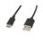 Cabo USB a 2.0 para USB C Lanberg 480 Mb/s Preto 0,5 M