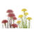 Planta Decorativa Dkd Home Decor Cor de Rosa Metal Amarelo Pvc (30 X 30 X 78 cm) (2 Unidades)