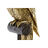 Figura Decorativa Dkd Home Decor Dourado Resina Papagaio Tropical (21 X 18 X 79 cm)