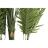 Planta Decorativa Dkd Home Decor Palmeira (100 X 100 X 230 cm)