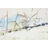 Pintura Home Esprit Abstrato Moderno 120 X 3,8 X 150 cm (2 Unidades)