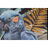 Pintura Home Esprit Papagaio Tropical Lacado 50 X 3,5 X 70 cm (2 Unidades)