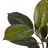 Planta Decorativa 49 X 45 X 125 cm Pvc Figueira Verde-escuro