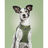Arnês para Cães Gloria 24,5-26 cm Verde 18-20 cm